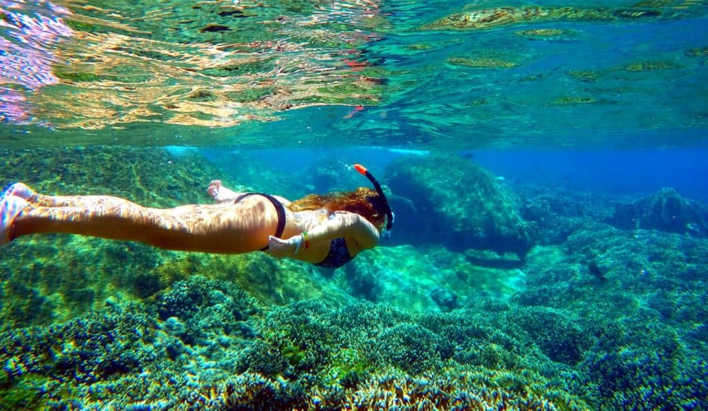 Snorkellers over a coral reef in clear water